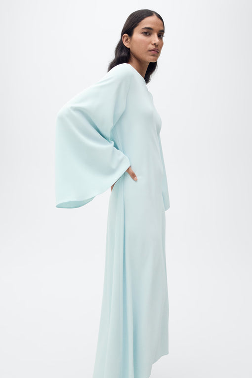 Long Flared Sleeve Dress